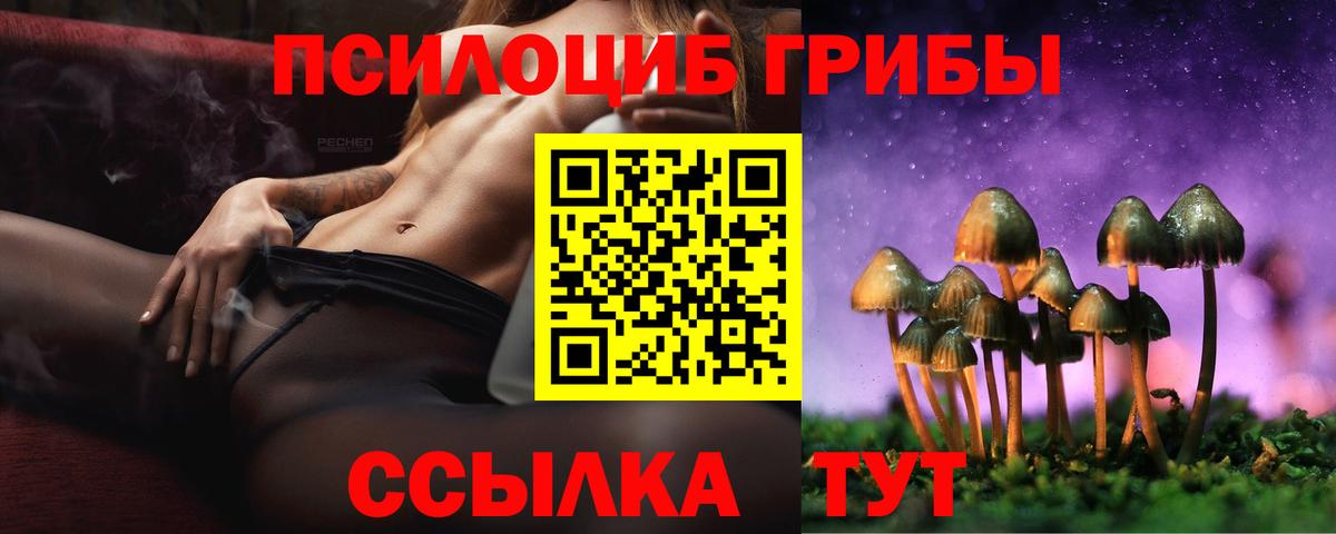 Сегежа  Псилоцибиновые грибы прущие грибы  Вход с VPN  Псилоцибиновые грибы Psilocybine cubensis 